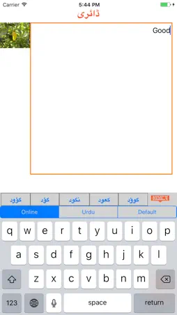 Urdu Diary screenshot 1