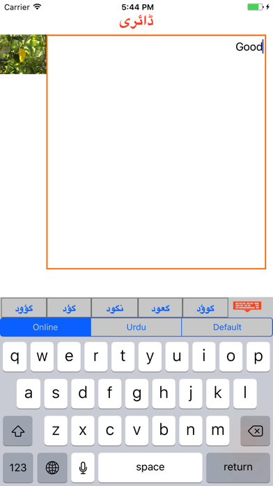 Screenshot #1 pour Urdu Diary