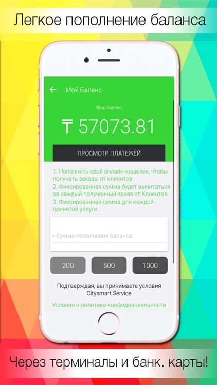 Citysmart Service PRO screenshot-3