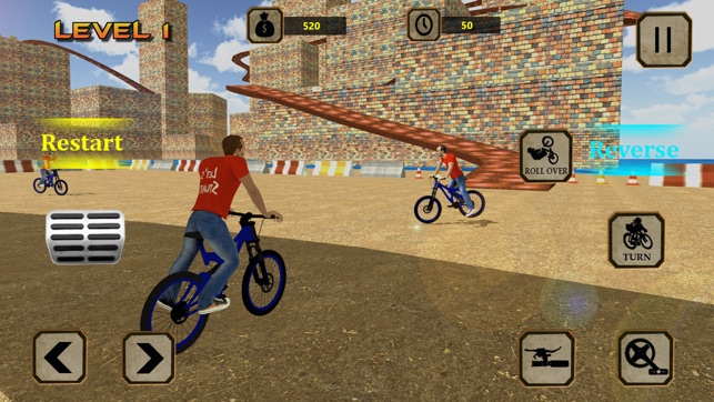 BMX Racer Crazy Stunts