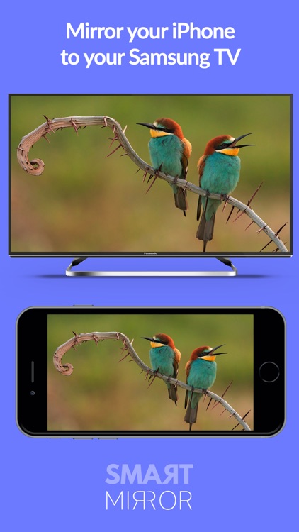 Smart Mirror - Samsung TV Cast