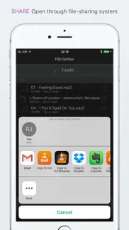 file getter iphone screenshot 3
