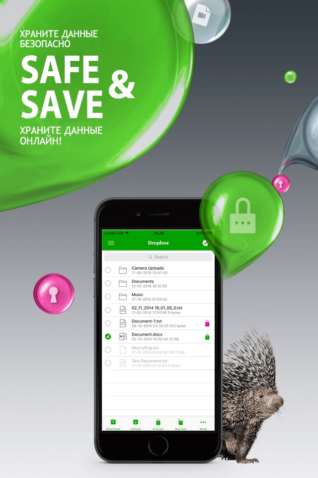 EgoSecure Encryption Anywhere screenshot 2