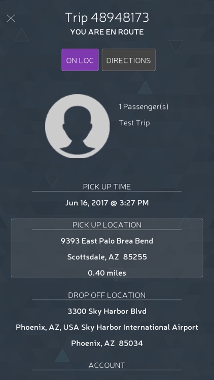 Executive Las Vegas Drivers