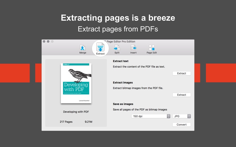 pdf page editor pro edition problems & solutions and troubleshooting guide - 3