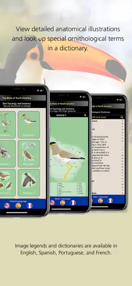 Game screenshot Birds of South America hack