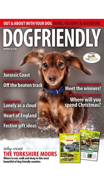Dog Friendly Magazine