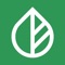 Bud is a visual diary of your plants life