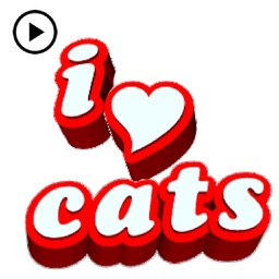 Animated Cat Pun Sticker