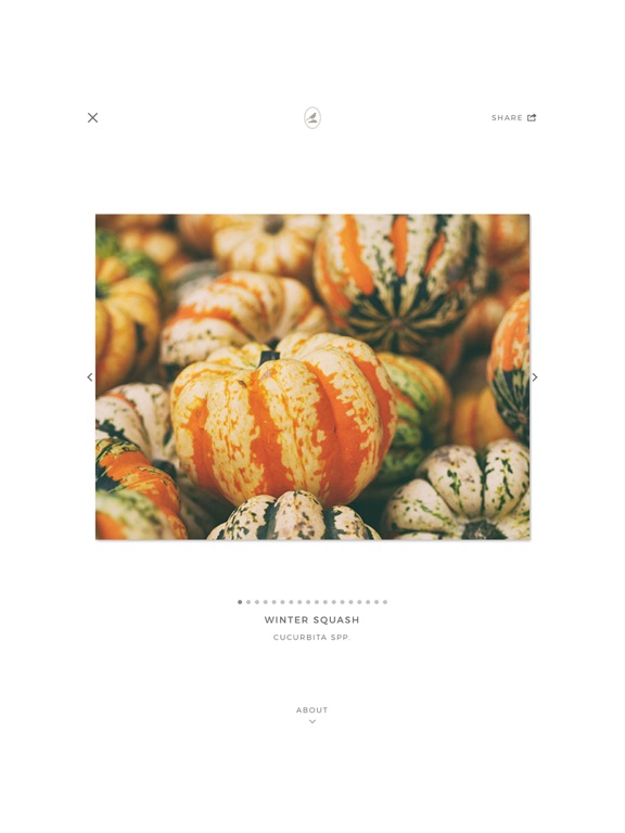 Fieldstone Guide: Vegetables image #1
