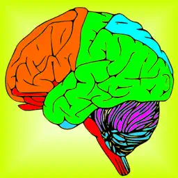 Brain & Nerves: The Human Nervous System Anatomy app icon