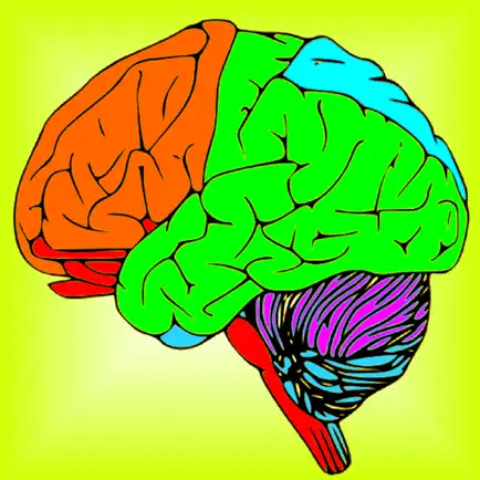 Brain & Nerves: The Human Nervous System Anatomy Читы