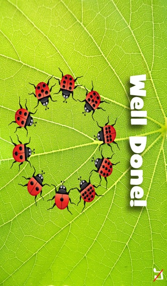 Ladybug Dolch Sight Wordsのおすすめ画像5