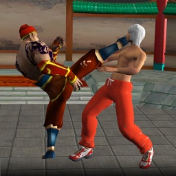 Karate Fighting Warrior 3D