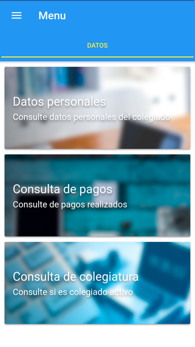 Screenshot #2 pour Consultas Colegiados CPA
