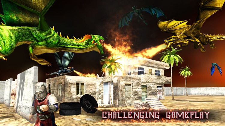 Dragon Warrior World Champion