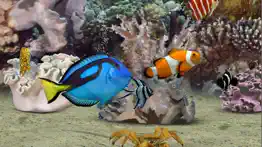 myreef 3d aquarium 2 hd problems & solutions and troubleshooting guide - 1