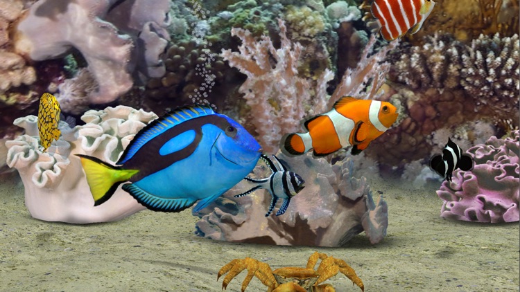 MyReef 3D Aquarium 2 HD screenshot-4