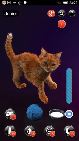 Game screenshot My Kitten (Cat Simulator) hack