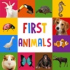 First Words for Baby: Animals - Premium