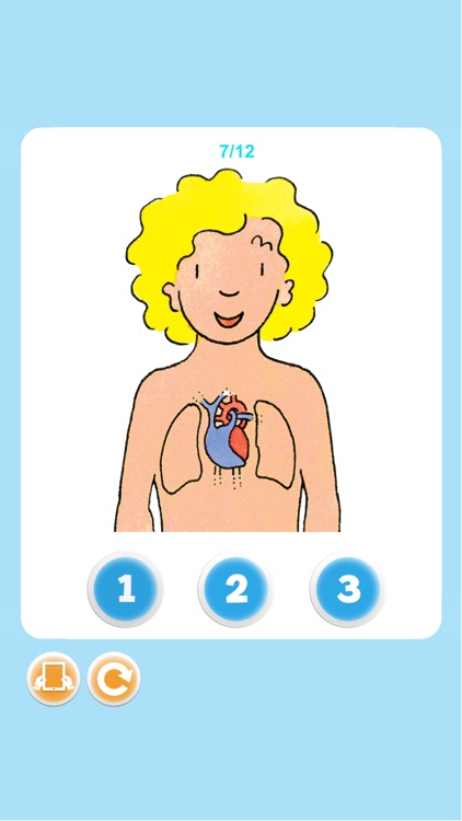 L'imagerie du corps humain