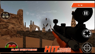 Hit Targets Shooting screenshot 3