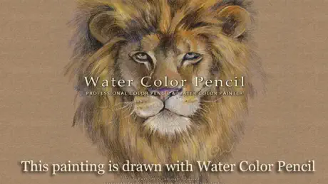Water Color Pencil