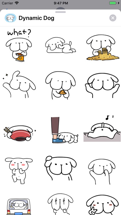 Dynamic Dog Animated Stickers