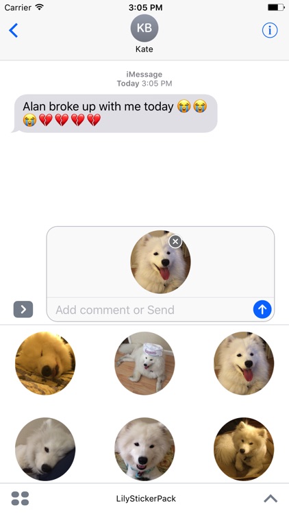 Lily Stickers