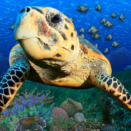 Popar Sea Life Читы
