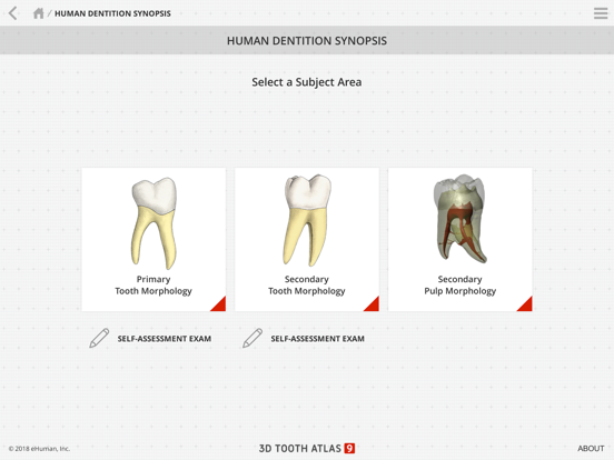 Tooth Atlas 9 iPad screenshot 7 - Education app