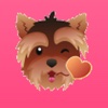 YorkieMojis - Emojis for Yorkie Lovers