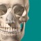 ***** Download over 700 free 3D models