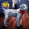 Dalmatian Dog Home Life Sim