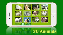 Game screenshot ASL Animals - Lite apk