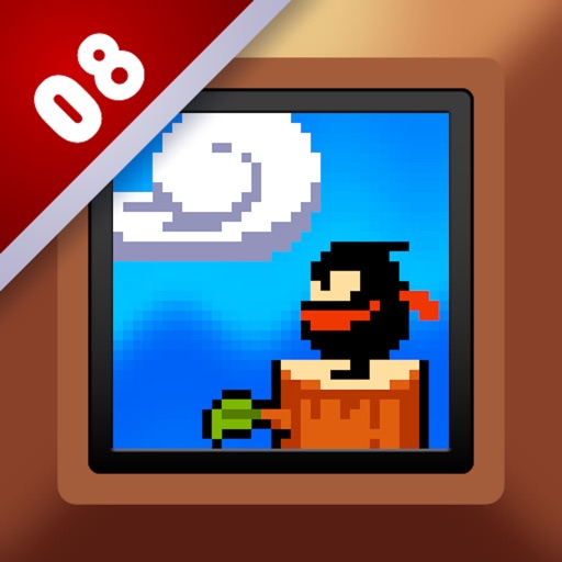 Ninja Shinobin icon