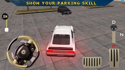 Parking Legend: Driving School screenshot 2