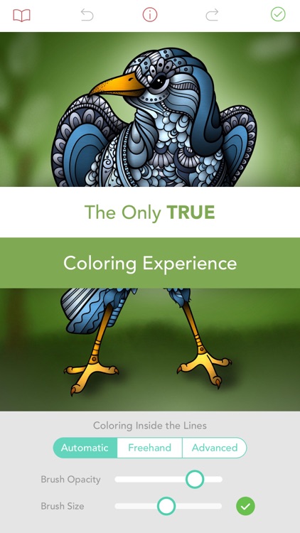 Pigment - Adult Coloring Book screenshot-3