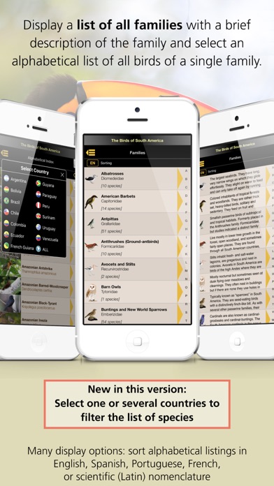 Birds of South America Screenshot