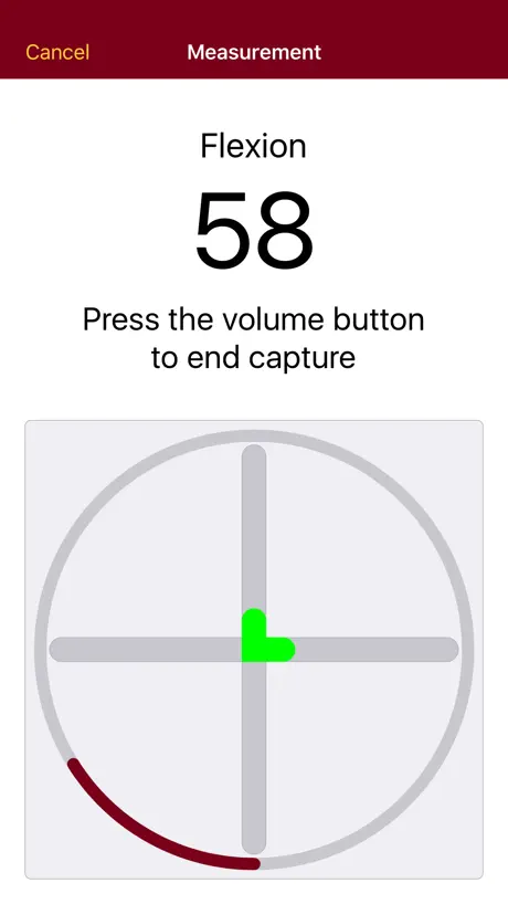 MnMotion Lite