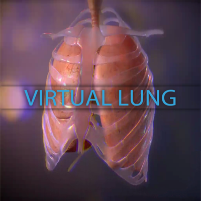 Virtual Lung