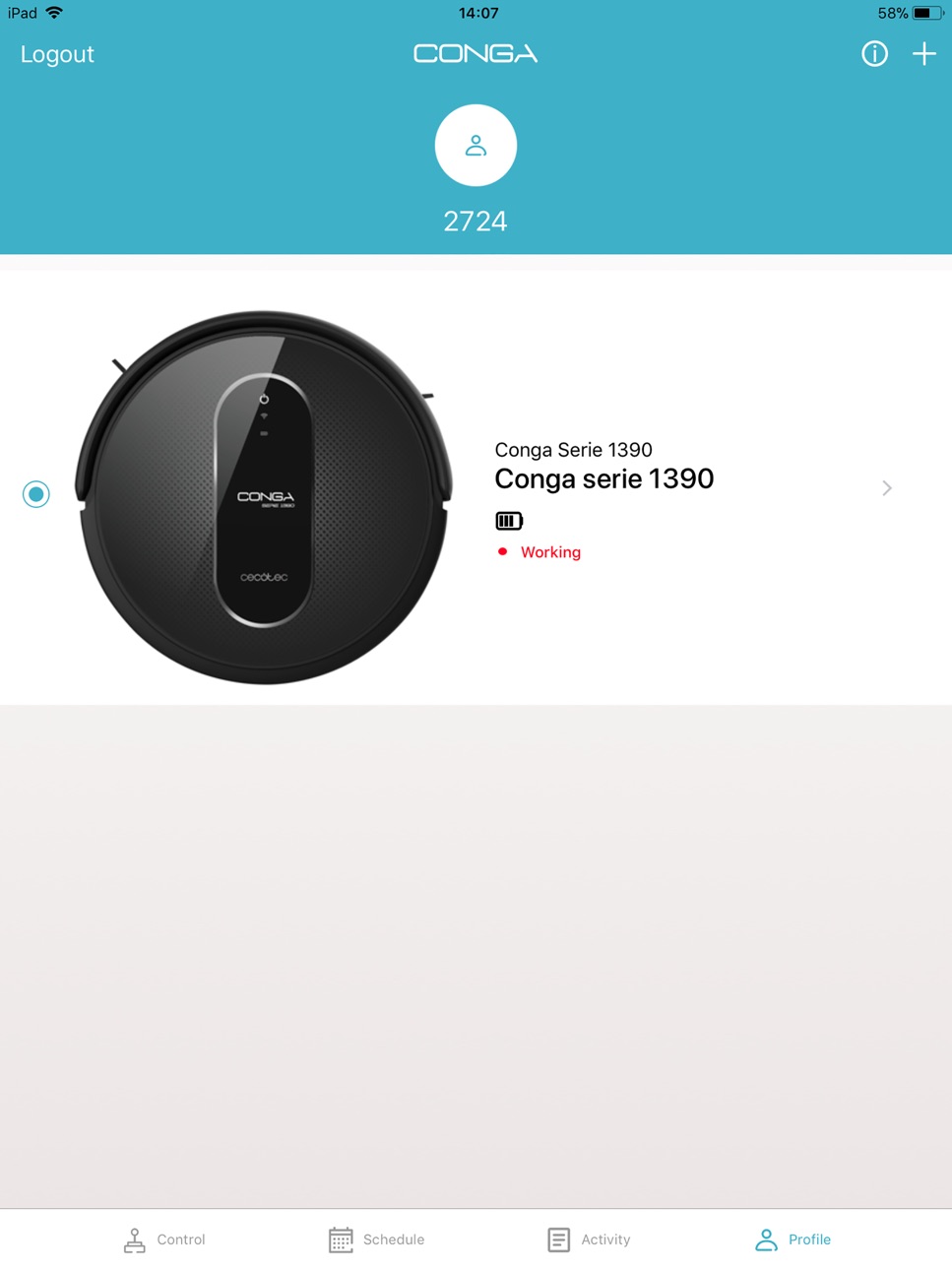 iPad screenshot