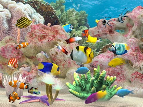 MyReef 3D Aquarium 3のおすすめ画像2
