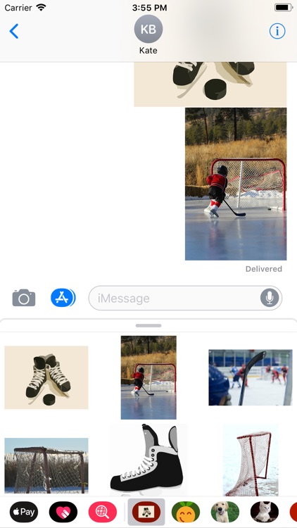 Hockey Sticker Pack