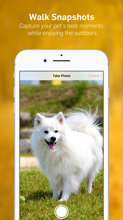Dog Walk - Track Your Dog's Daily Walks!