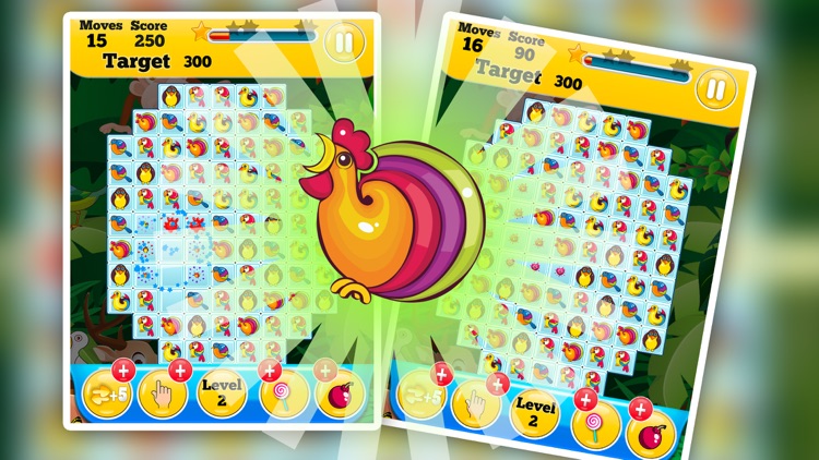 Jungle Adventure Bird Match