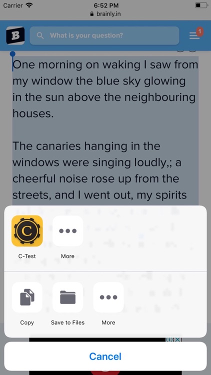 C-Test Generator screenshot-4