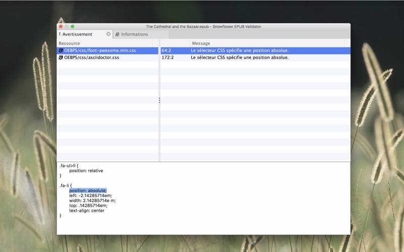 Screenshot #3 pour Snowflower EPUB Validator