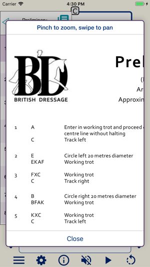 TestPro British Dressage(圖4)-速報App