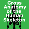 Gross Anatomy of the Skeleton - Scholar Educational Systems, Inc.